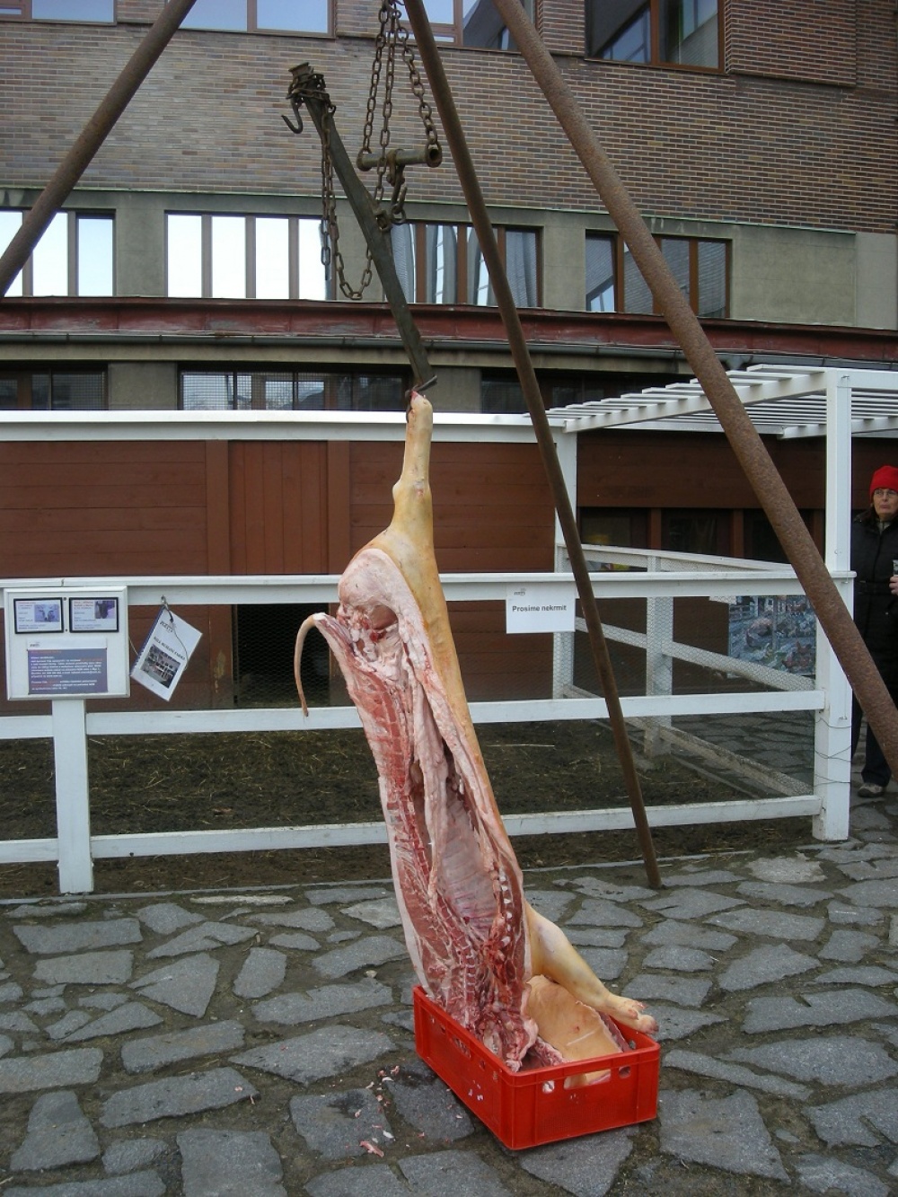 153499