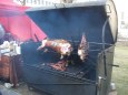 Akce v N�rodn�m zem�d�lsk�m muzeu