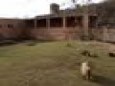 Letohr�dek v Kr�lovsk� Obo�e