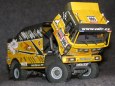 LIAZ Dakar 2010 - Mac�k