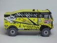 Liaz DAKAR 2010 Martin Mac�k