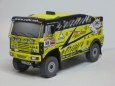 Liaz DAKAR 2010 Martin Mac�k