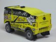 Liaz DAKAR 2010 Martin Mac�k
