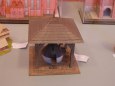 Licard Model Show  2012