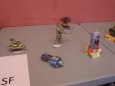 Licard Model Show  2012