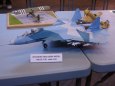 Licard Model Show  2012
