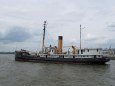 lighthouse tender Lilac