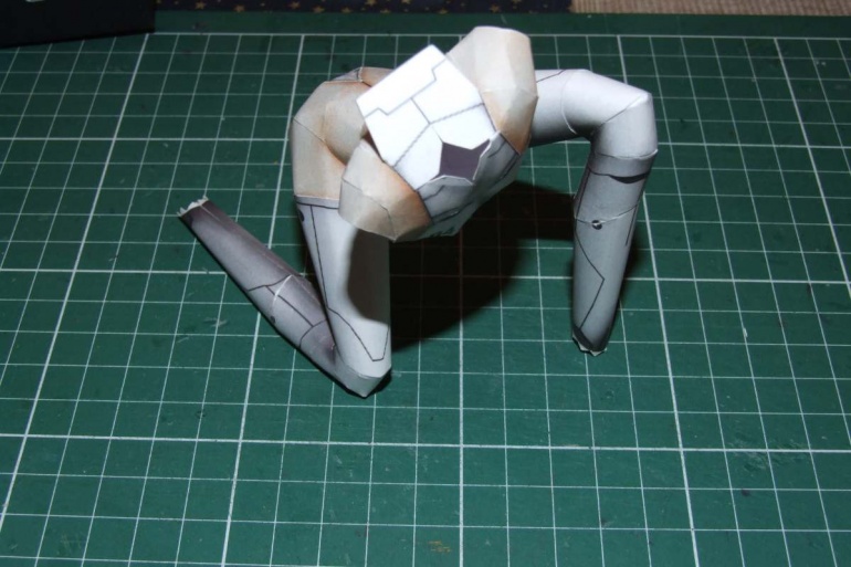 30251