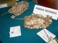 Litom��ice  2008