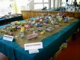 Litom��ice  2008