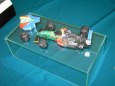 Litom��ice  2008
