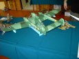 Litom��ice  2008