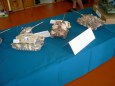 Litom��ice  2008