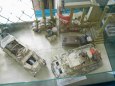 Litom��ice  2008
