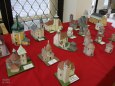 Litom��ice 2010-01-16