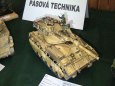 Litom��ice 2010