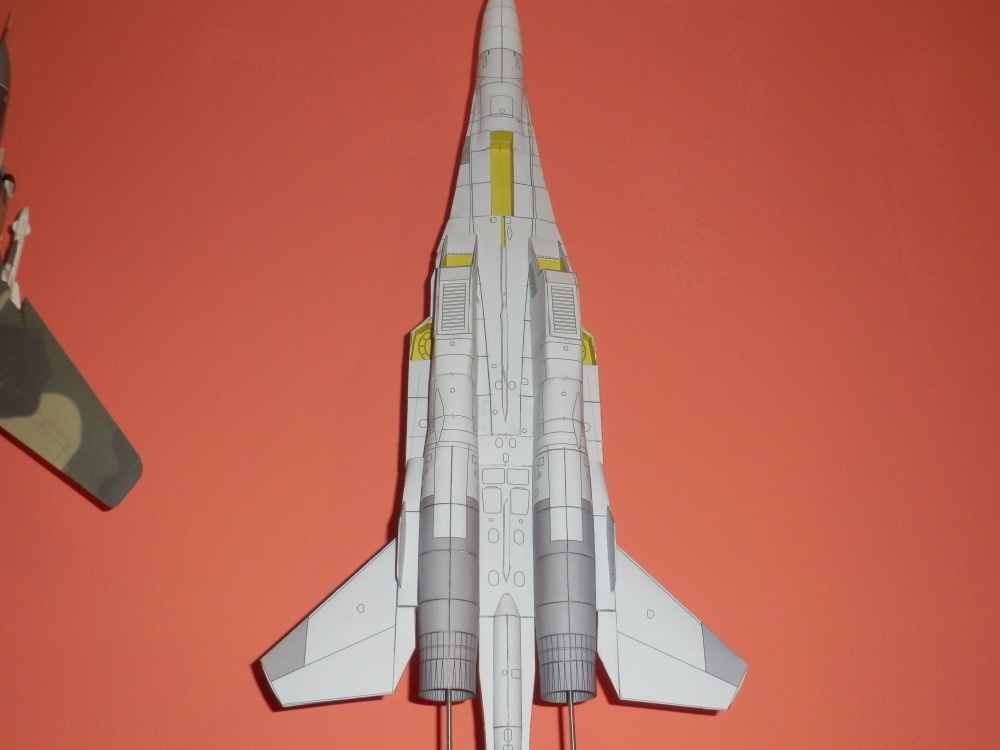 Su-30 (Plná velikost v novém okně) Su-30