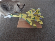 Su-30