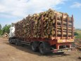 Log Loader Enviroment
