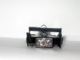 Lotus 79 /1978/