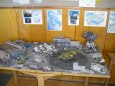 LV4 26  ALIENS 