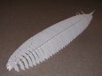 LZ 129 - Hindenburg