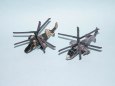 Mikromodely 1 : 250