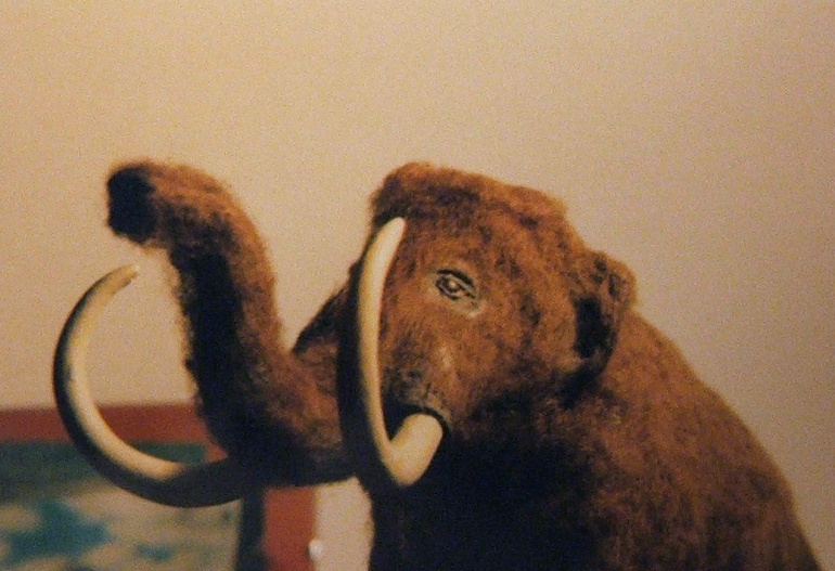 Mamut (Mammuthus primigenius)