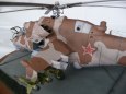 Mi-24D  HIND