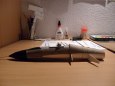 Mig 29