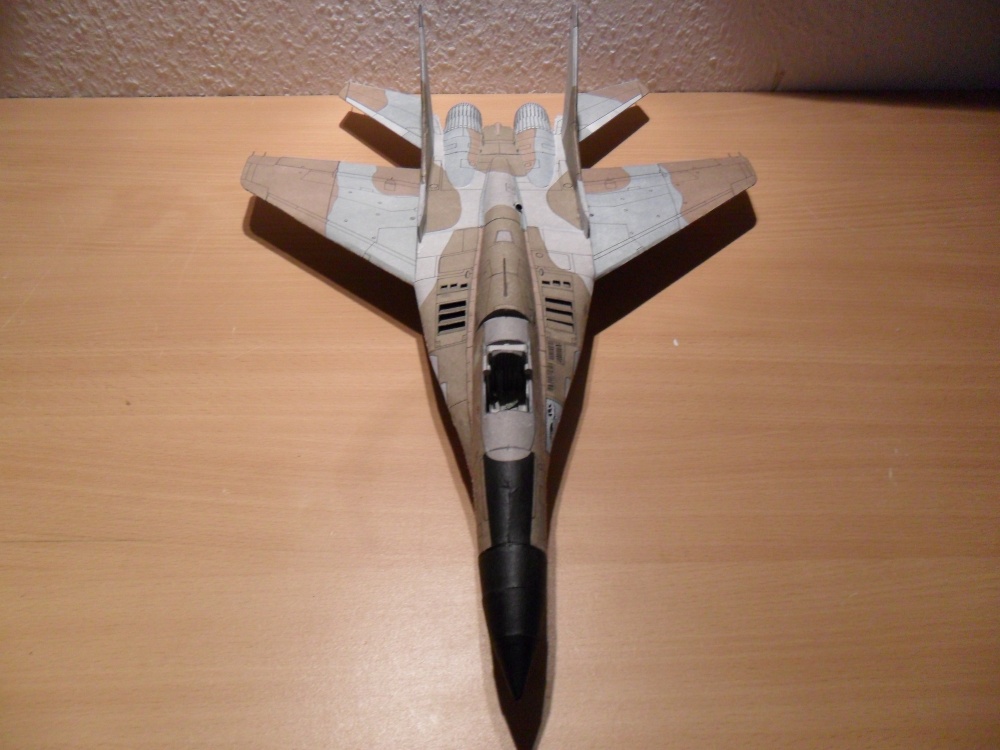 Mig 29 (Plná velikost v novém okně) Mig 29