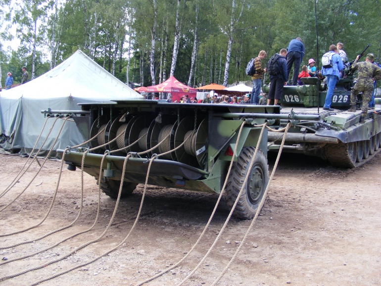 80667