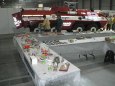 Model Hobby 2011