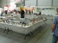 Model Hobby 2011