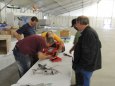 Model Hobby 2012