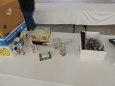 Model Hobby 2012