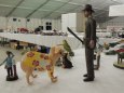 Model Hobby 2012