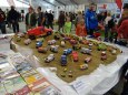 Model Hobby 2012
