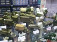 MODEL HOBBY 2013