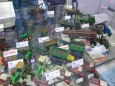 MODEL HOBBY 2013