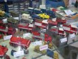 MODEL HOBBY 2013
