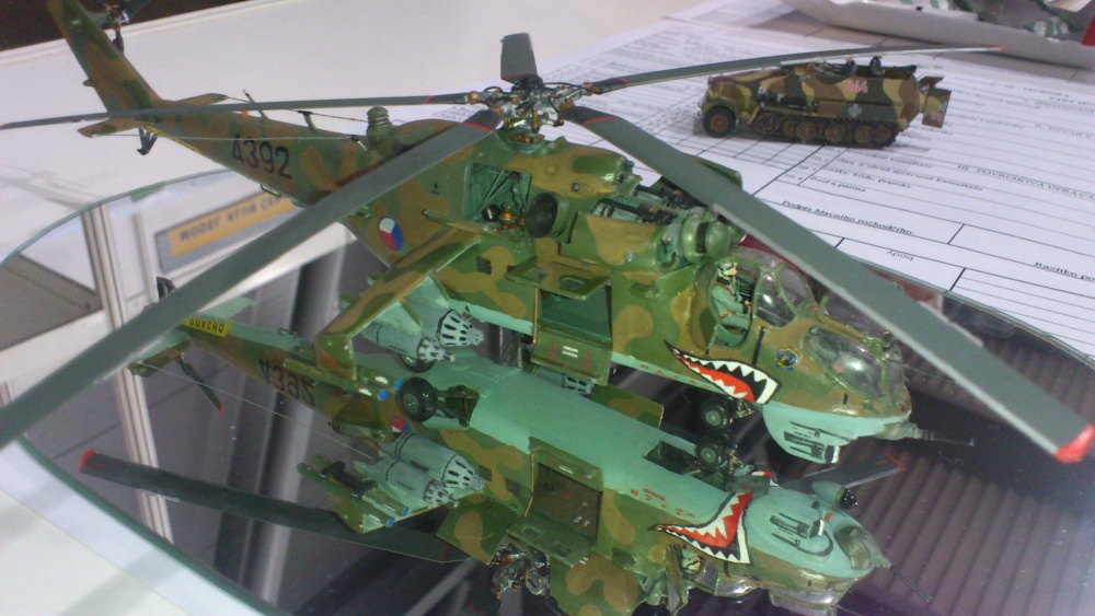MODEL HOBBY 2013