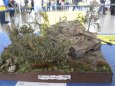 ModellBrno a Uh.Hradi�t� 2010