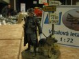 ModellBrno a Uh.Hradi�t� 2010