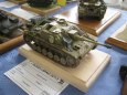 ModellBrno a Uh.Hradi�t� 2010