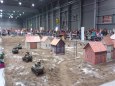MODEL HOBBY 2015