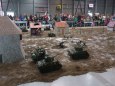 MODEL HOBBY 2015
