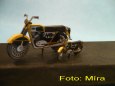 Moje galerie-M�ra