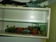 Moje galerie + OSTATN� 