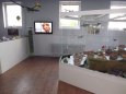 MPMPM - v�stava Vy�kovsk� 85.let